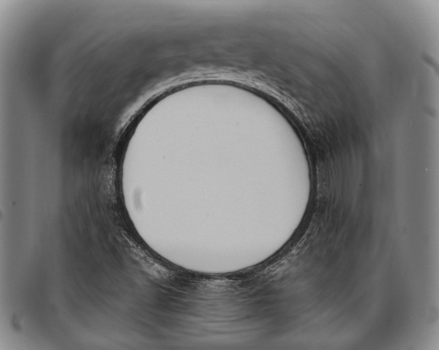X0000096681502200802191340