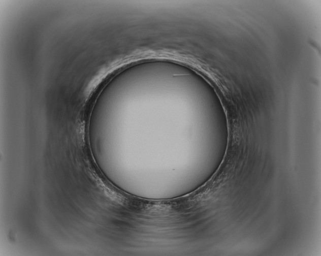 X0000096681503200802191340