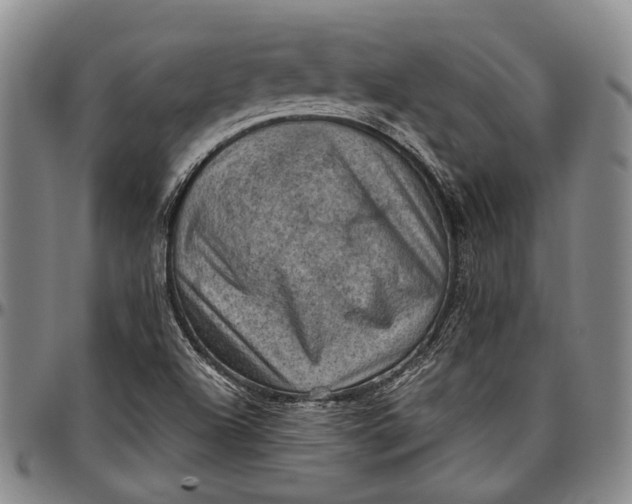X0000096681504200802191340
