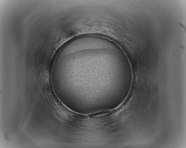 X0000096681505200802191340