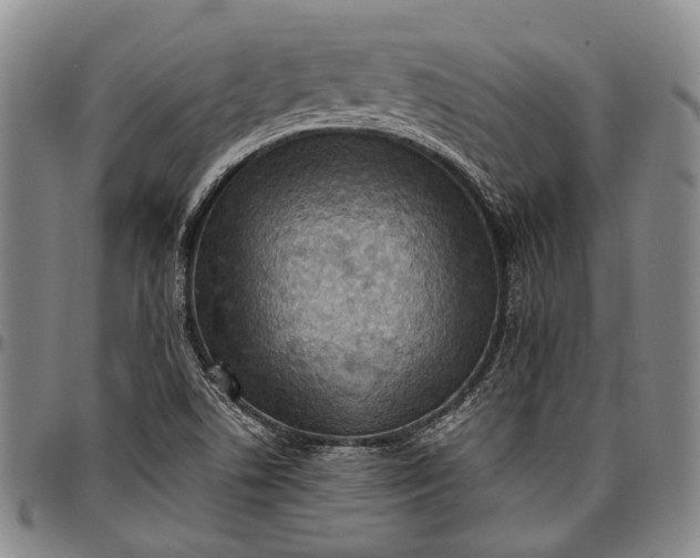 X0000096681506200802191340