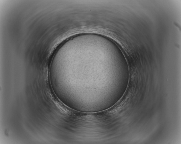 X0000096681507200802191340