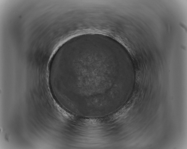 X0000096681508200802191340