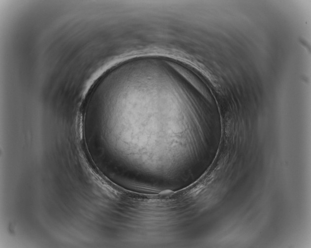 X0000096681510200802191340