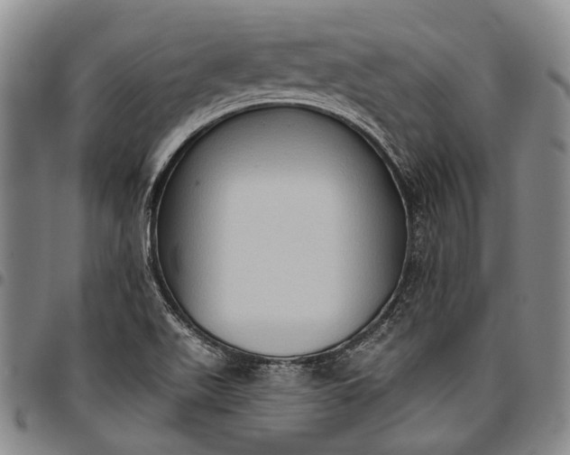 X0000096681511200802191340