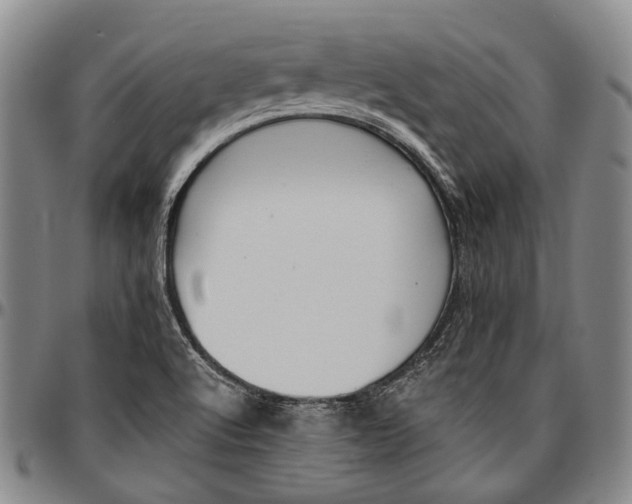 X0000096681512200802191340
