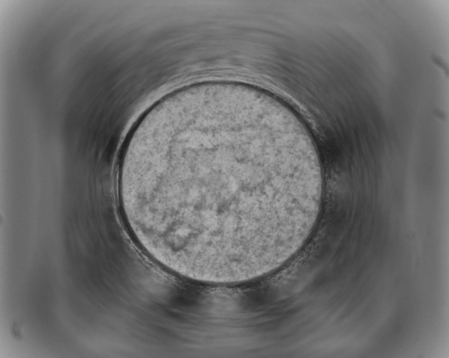 X0000096681514200802191340
