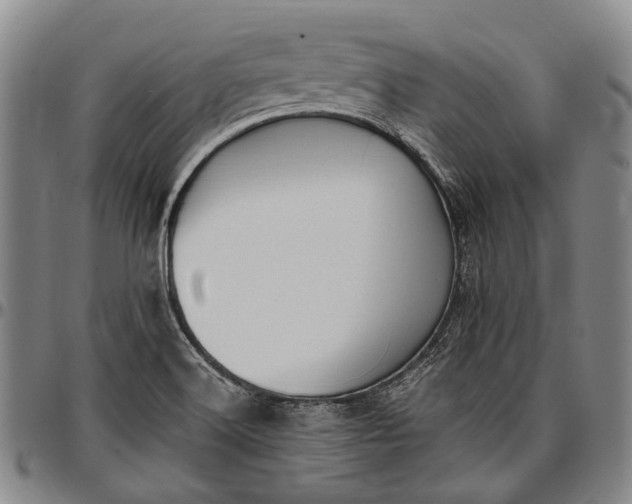 X0000096681516200802191340