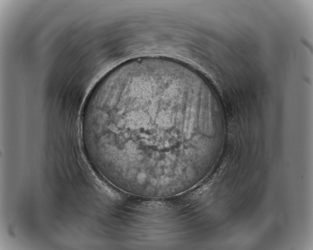 X0000096681517200802191340