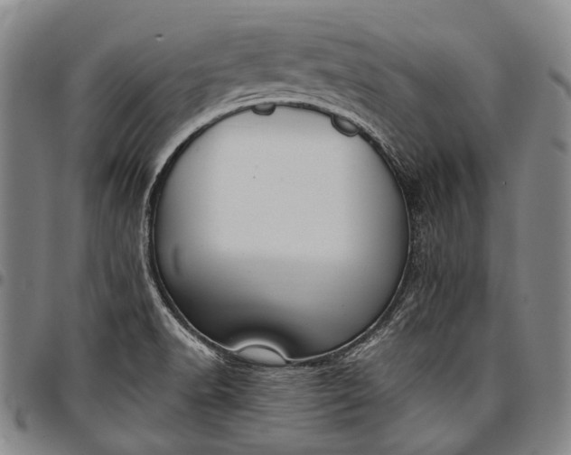 X0000096681518200802191340