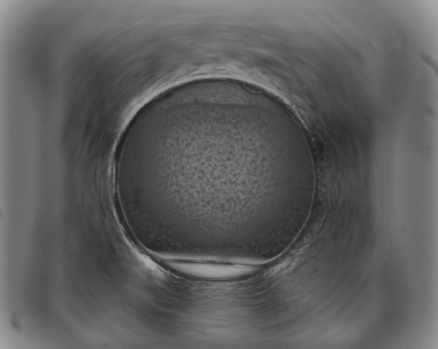 X0000096681519200802191340