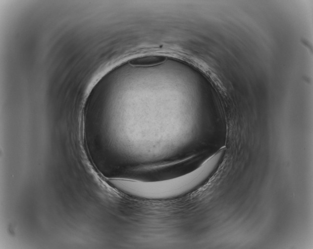X0000096681520200802191341