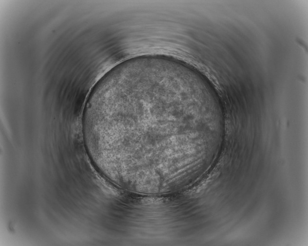 X0000096681521200802191341