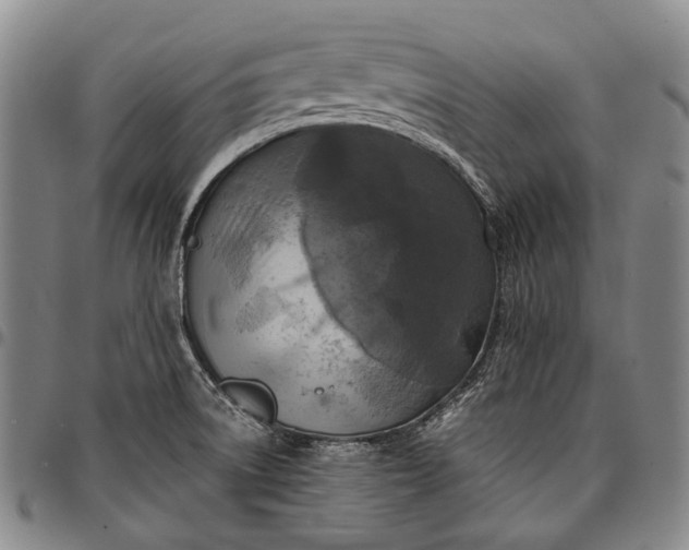X0000096681522200802191341