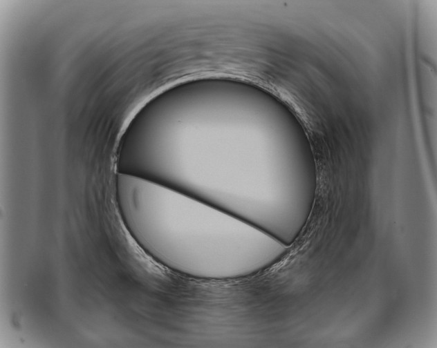 X0000096681524200802191341