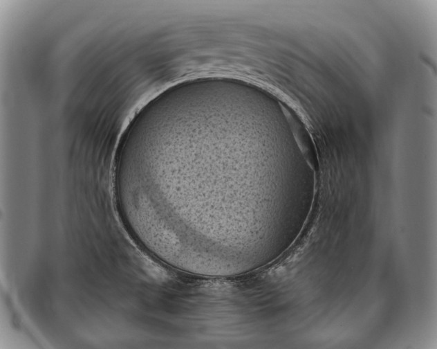 X0000096681525200802191341
