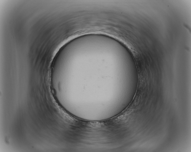 X0000096681526200802191341
