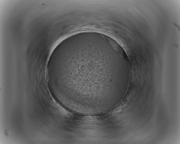 X0000096681527200802191341