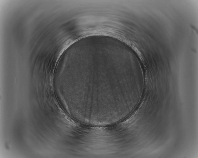 X0000096681529200802191341