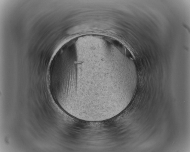 X0000096681531200802191341