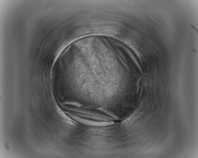 X0000096681532200802191341