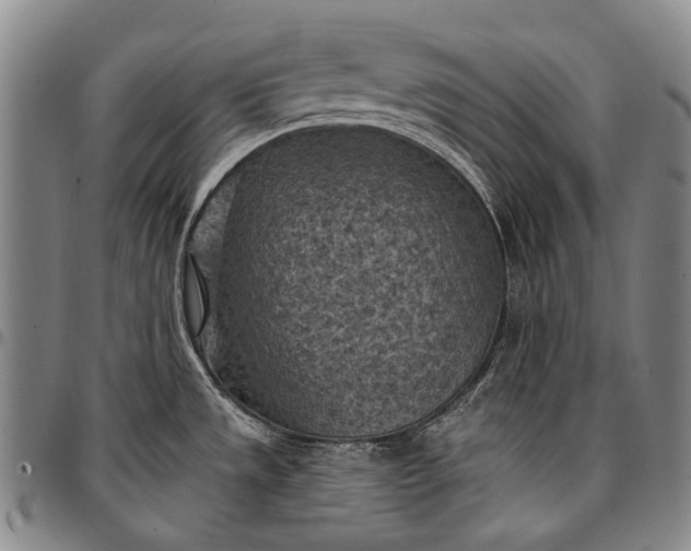X0000096681533200802191341