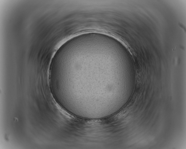 X0000096681535200802191341