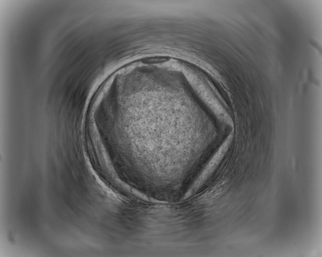 X0000096681536200802191341