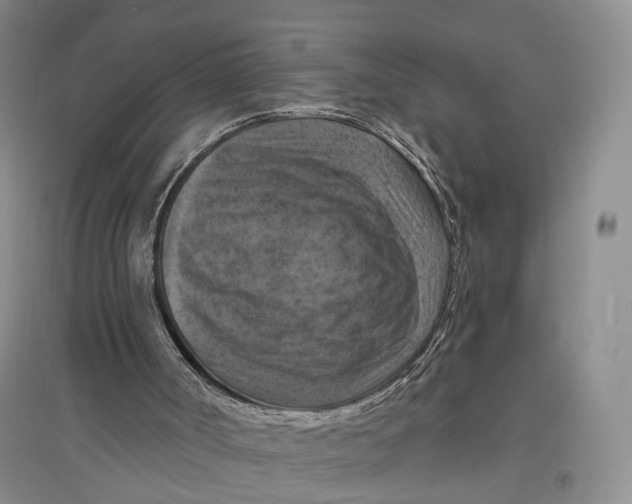 X0000096680002200802261527