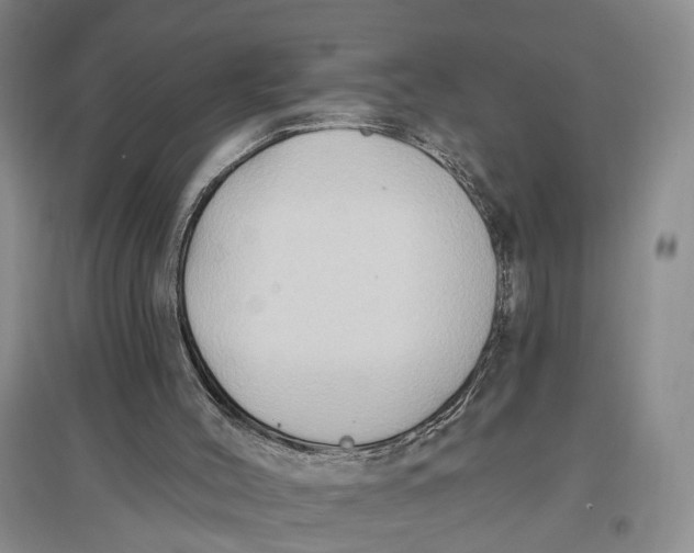X0000096680004200802261527