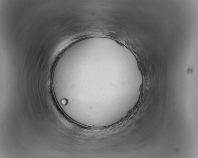 X0000096680005200802261527