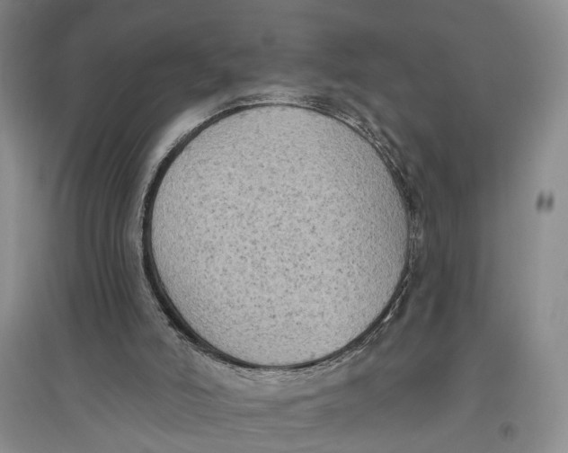 X0000096680006200802261527