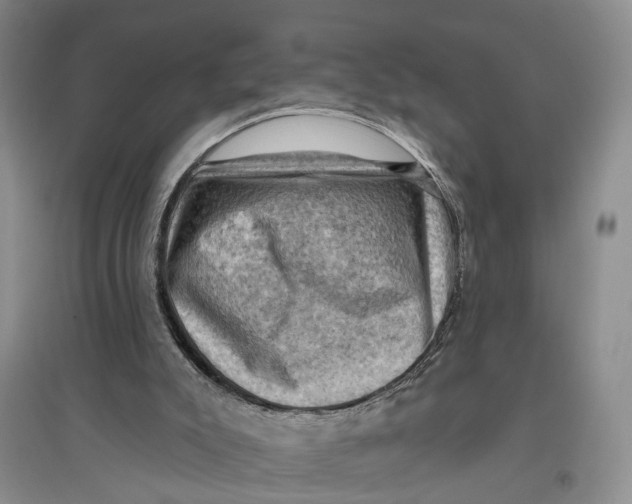 X0000096680007200802261527