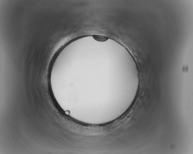X0000096680008200802261527