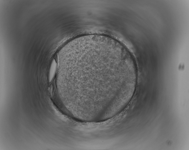 X0000096680009200802261527