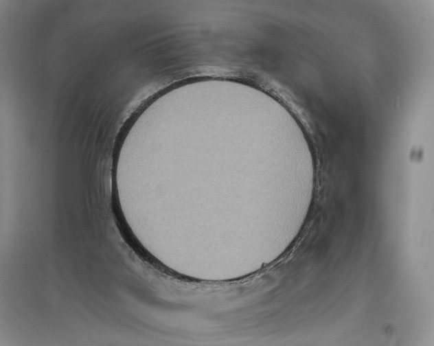 X0000096680011200802261527