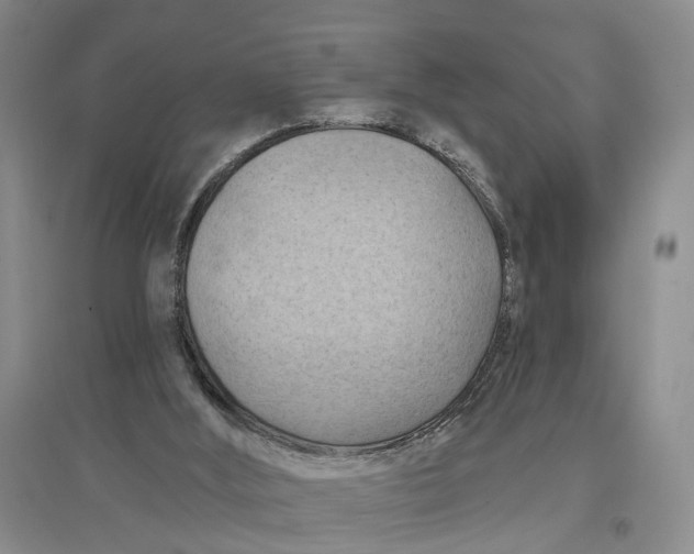 X0000096680012200802261527