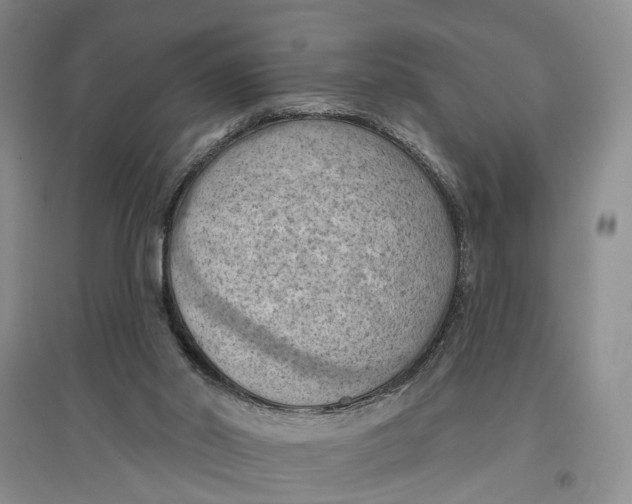 X0000096680014200802261527