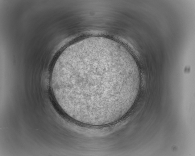 X0000096680016200802261527