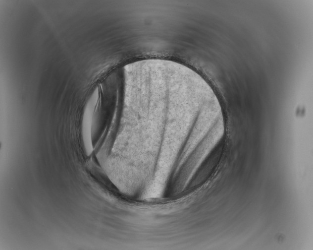 X0000096680017200802261527