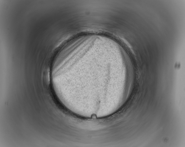 X0000096680020200802261527