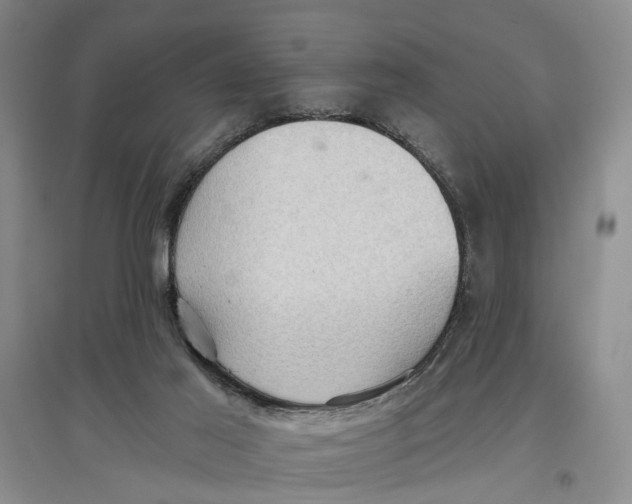 X0000096680021200802261527