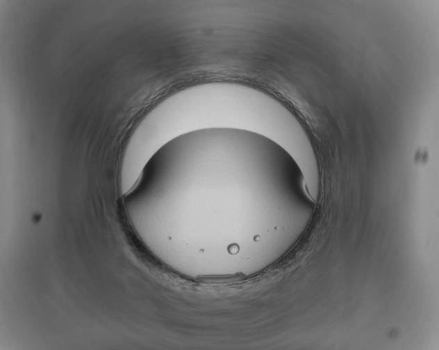 X0000096680022200802261527