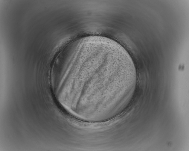 X0000096680023200802261527