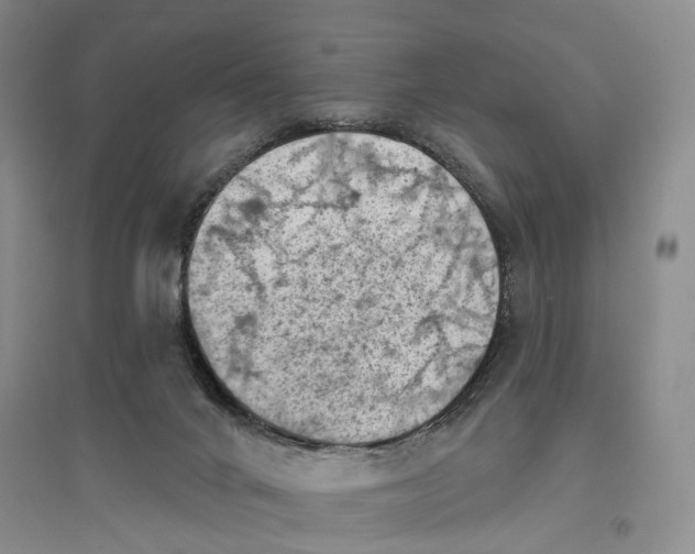 X0000096680024200802261527