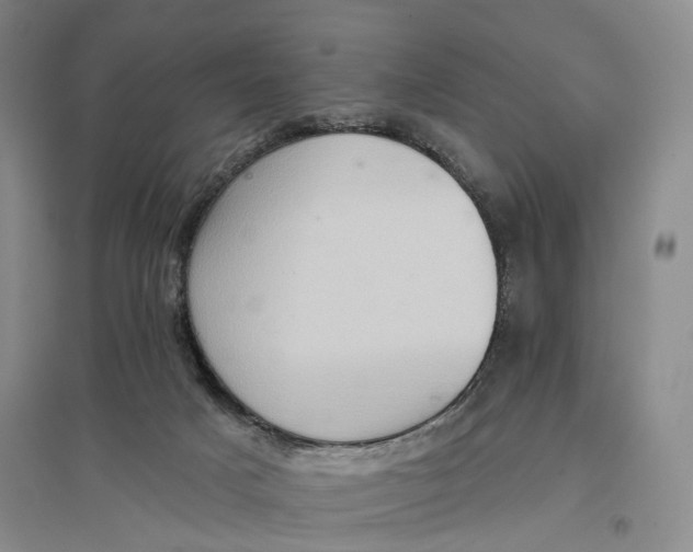 X0000096680025200802261527