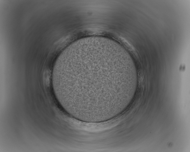 X0000096680026200802261527
