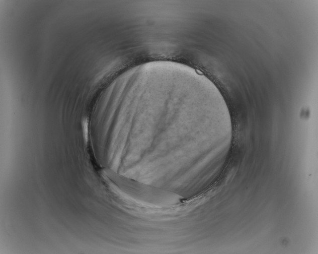 X0000096680027200802261527
