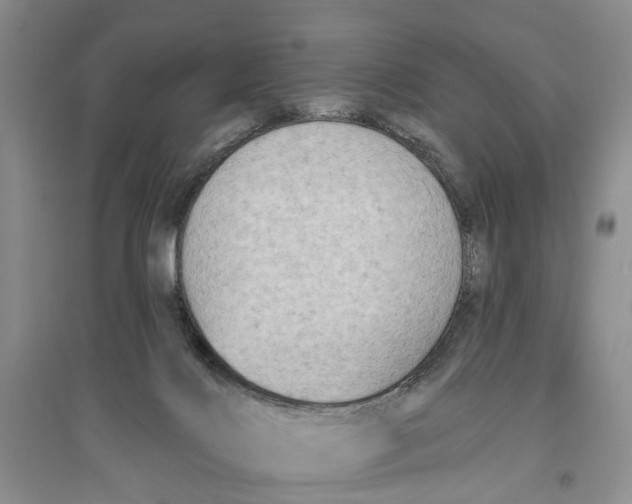 X0000096680028200802261527