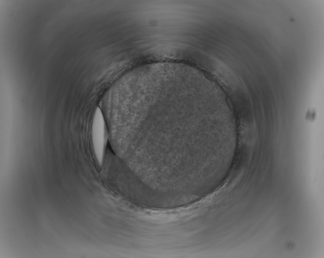 X0000096680029200802261527